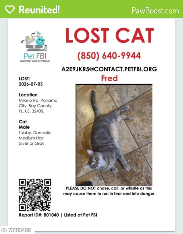 Reunited Male Cat last seen Venetian villas, Panama City, FL 32405