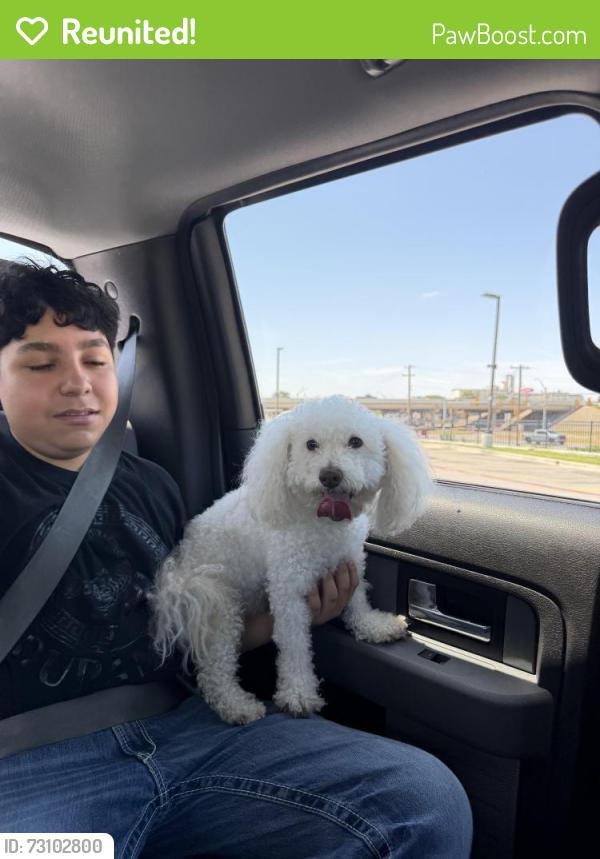 Reunited Male Dog last seen Near carnation ave Haltom city tx 76111, Haltom City, TX 76111