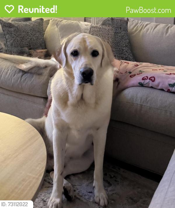 Reunited Male Dog last seen Lakeview Retreat, Fort Bend County, TX 77407