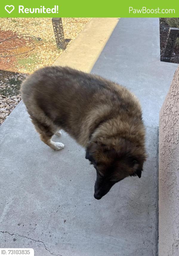 Reunited Unknown Dog last seen Sapwi park, Thousand Oaks, CA 91362