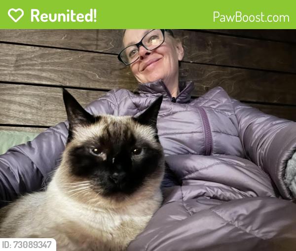 Reunited Male Cat last seen Morrison, Portland, OR 97215