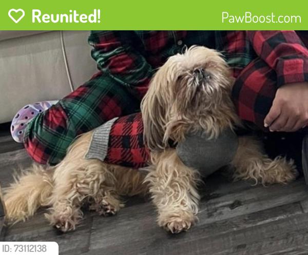 Reunited Male Dog last seen Mojave Rd, Boyd, TX 76023