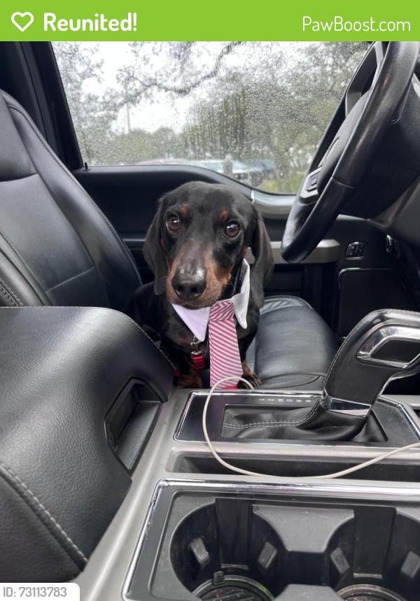 Reunited Male Dog last seen Overlook pkwy and canyon golf, San Antonio, TX 78260