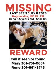 Reunited Female Dog last seen rt 231 and 381, Hughesville, MD 20637