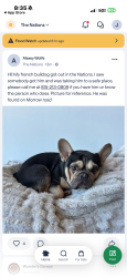 Reunited Male Dog last seen Morrow, Nashville, TN 37209