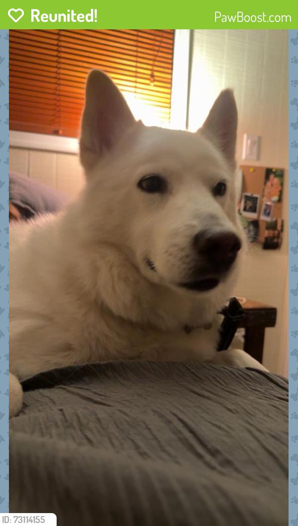 Reunited Unknown Dog last seen S Bryant Ave & Thunderbird Blvd, Edmond, OK 73013, USA, Edmond, OK 73013