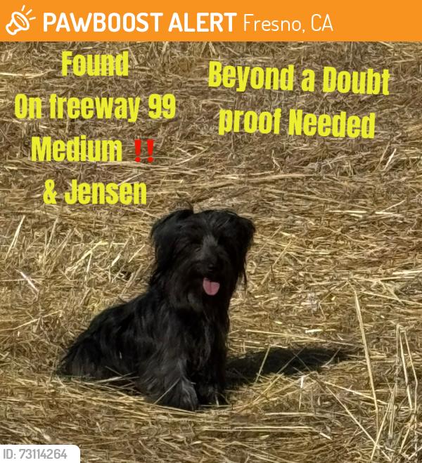 Found/Stray Unknown Dog last seen 99/ E Jensen, Fresno, CA 93725