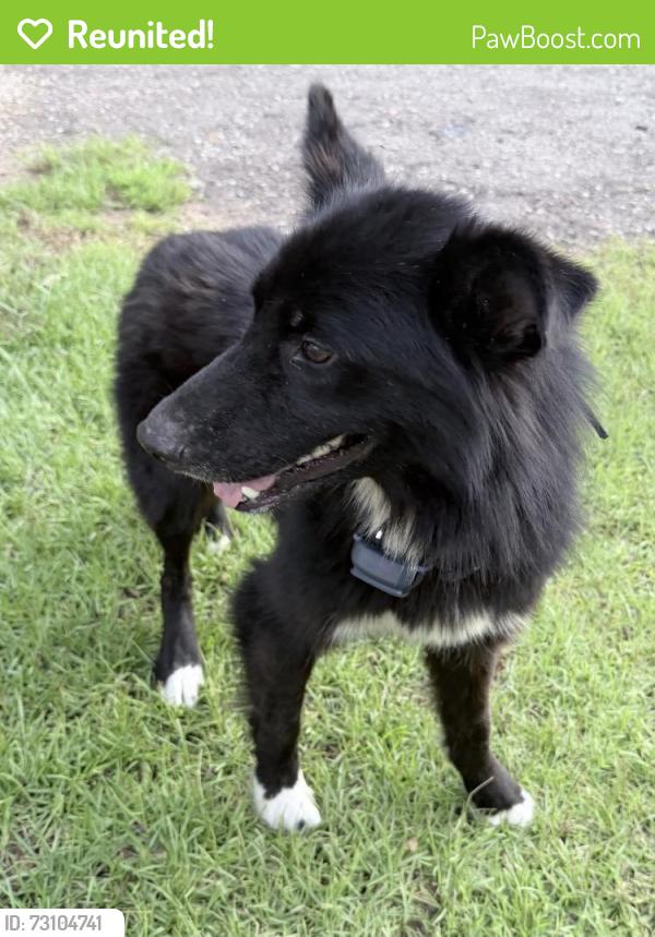 Reunited Unknown Dog last seen Near and 1316, Smith County, TX 75703