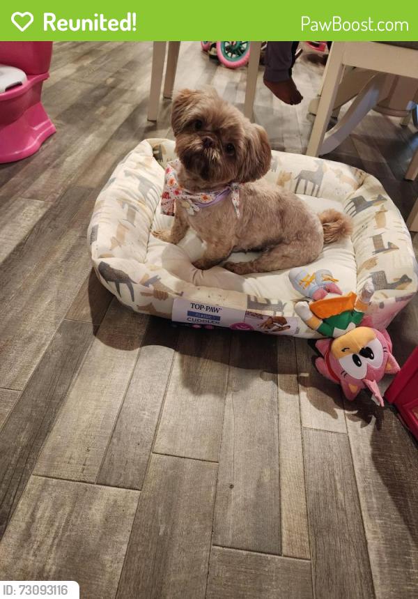 Reunited Female Dog last seen Clark Street, Lexington, NC 27295