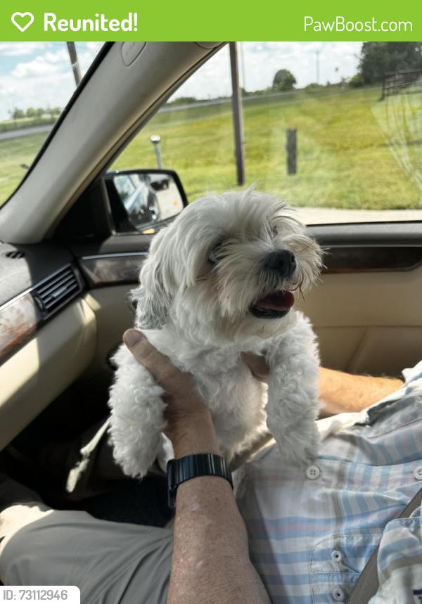 Reunited Female Dog last seen Birchcrest Lane, Bryan, TX 77802