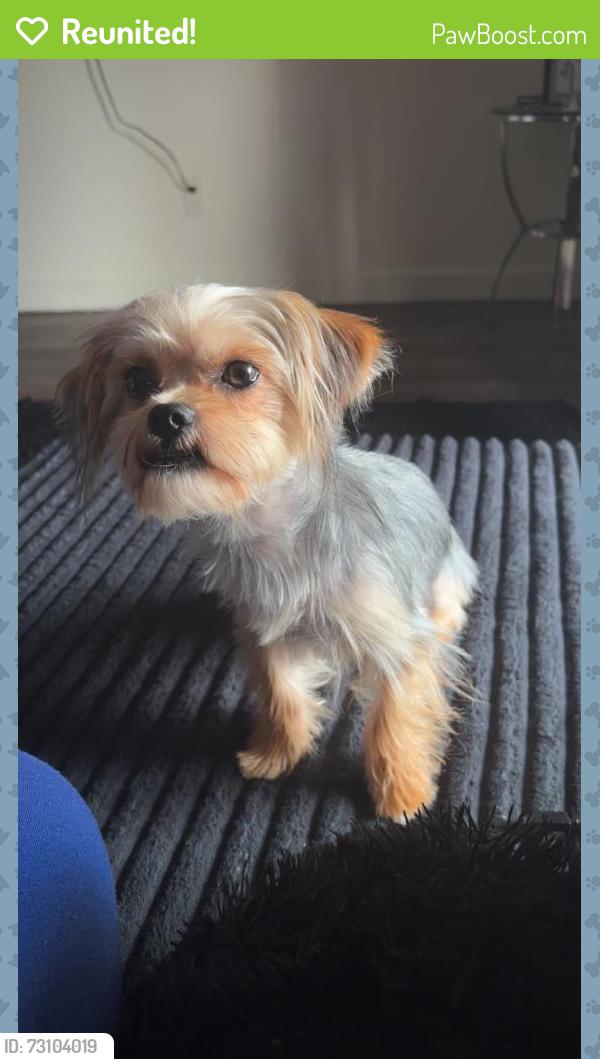 Reunited Male Dog last seen Fairfield, West Pensacola, FL 32506
