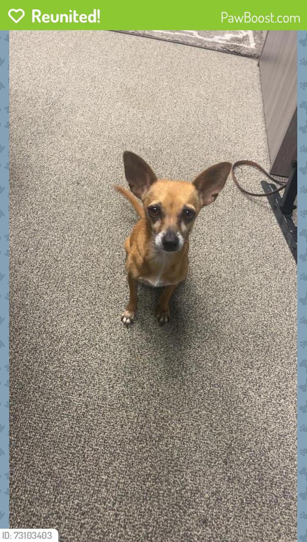 Reunited Female Dog last seen Kroger, Houston, TX 77062