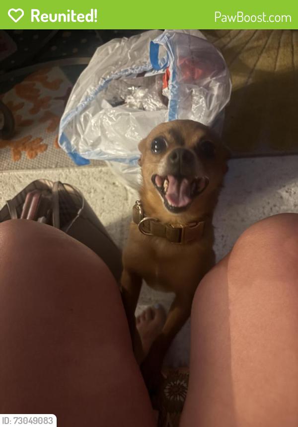 Reunited Male Dog last seen Bristol regional hosp, Bristol, TN 37620