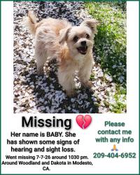 Lost Female Dog last seen Dakota ave modesto Ca, Modesto, CA 95358