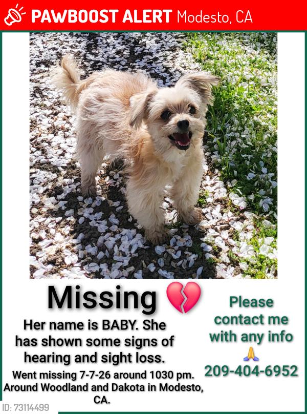 Lost Female Dog last seen Dakota ave modesto Ca, Modesto, CA 95358