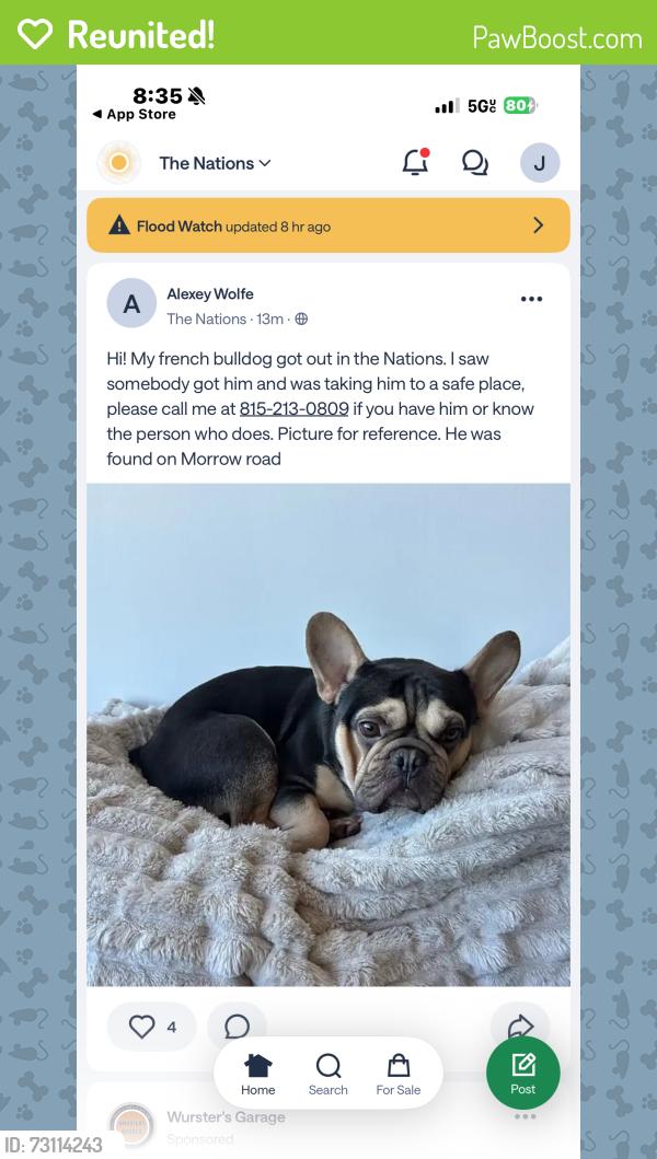 Reunited Male Dog last seen Morrow, Nashville, TN 37209