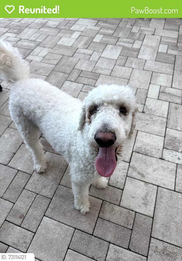 Reunited Male Dog last seen Country walk neighborhood, Alafaya, FL 32825