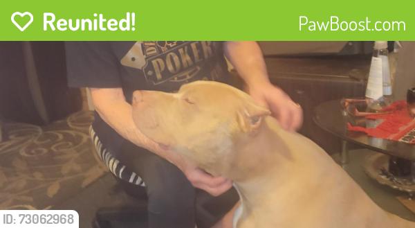 Reunited Female Dog last seen Miller, Oklahoma City, OK 73119