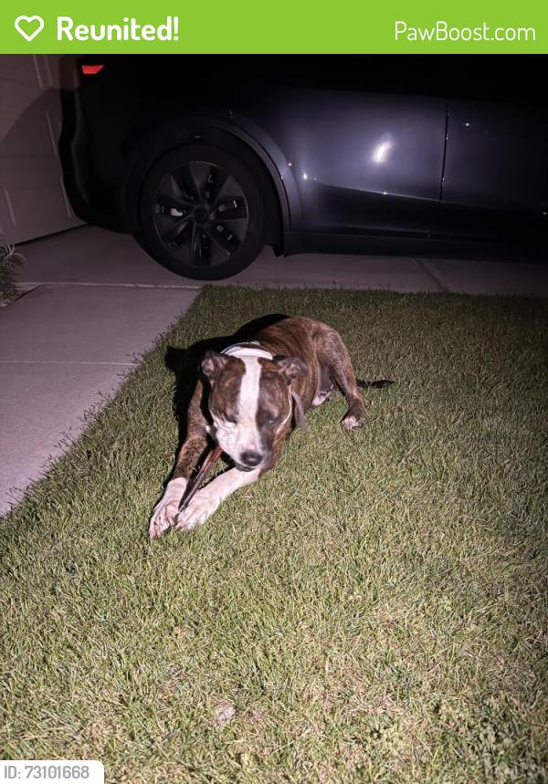 Reunited Unknown Dog last seen Gardenia st, Oceanside, CA 92057