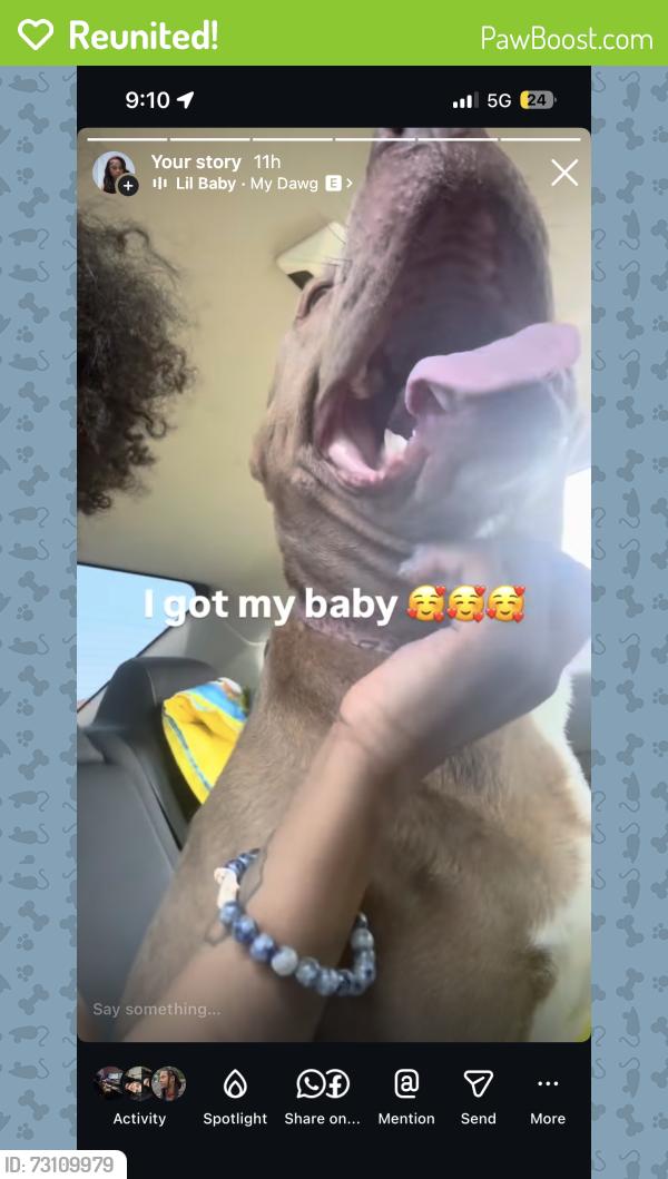 Reunited Female Dog last seen Julson and textile, Greensboro, NC 27405