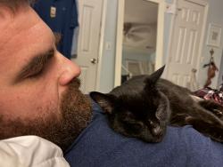 Reunited Male Cat last seen Club Ridge, High Point, NC 27265