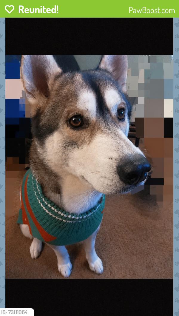 Reunited Male Dog last seen Trailer court behind Scooters in North Topeka, Topeka, KS 66608