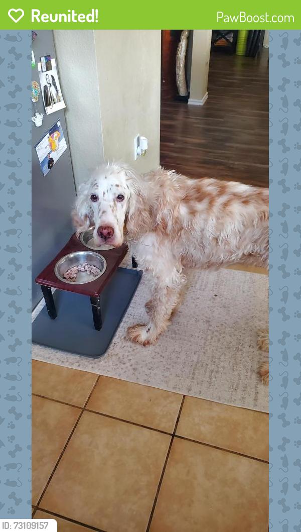 Reunited Male Dog last seen Wheatland, Dallas, TX 75249