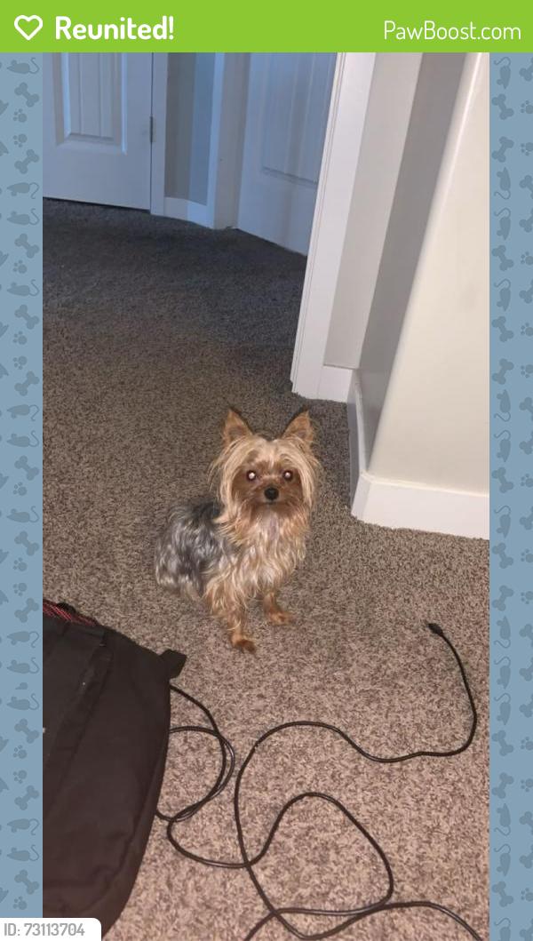 Reunited Male Dog last seen Near w, Layton, UT 84041