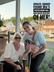 Reunited Female Dog last seen Rambler Lane, Russett Lane, Rose Arbor Lane, Red Cedar Hill, Levittown Pa, Levittown, PA 19055