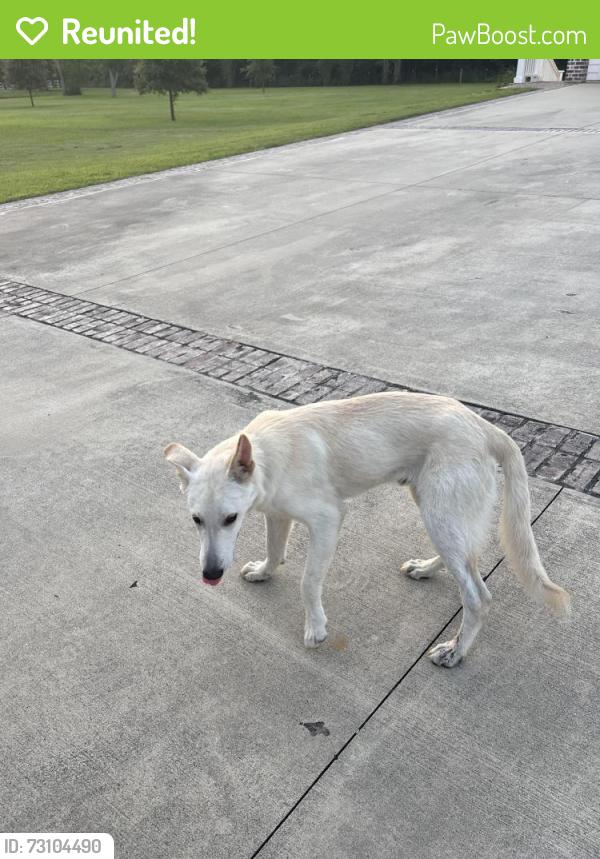 Reunited Male Dog last seen People’s rd, Conroe, TX 77384