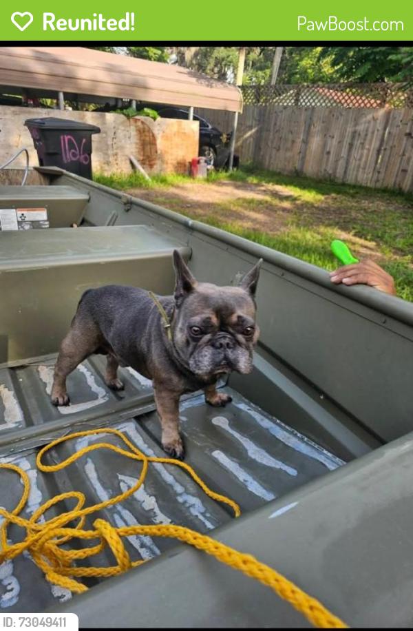 Reunited Male Dog last seen North rd, pierson Florida, Pierson, FL 32180