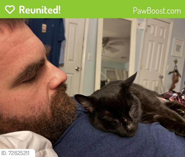 Reunited Male Cat last seen Club Ridge, High Point, NC 27265
