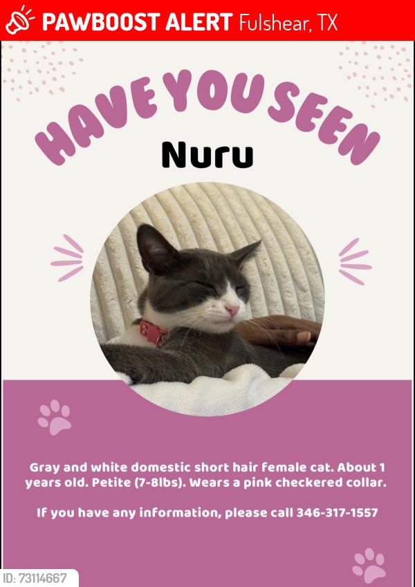Lost Female Cat last seen Long Flower Ct & Twin Knolls Ln, Fulshear, TX 77441