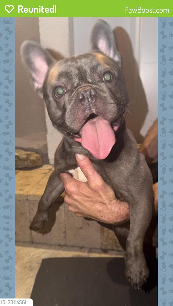 Reunited Female Dog last seen Near Dale Rd between Kirk Rd and Military Tr , Palm Springs, FL 33461