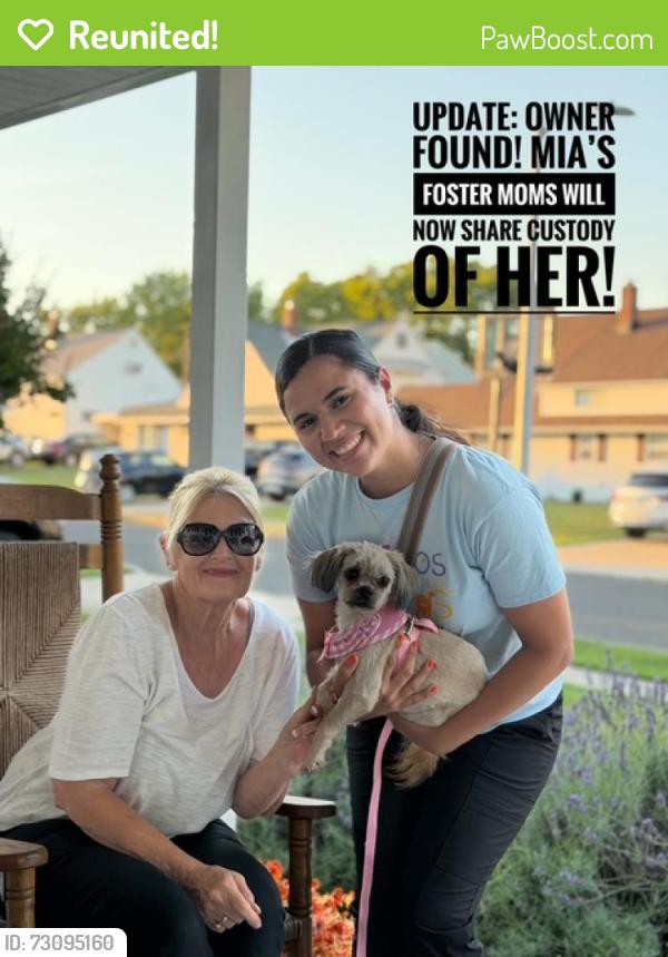 Reunited Female Dog last seen Rambler Lane, Russett Lane, Rose Arbor Lane, Red Cedar Hill, Levittown Pa, Levittown, PA 19055