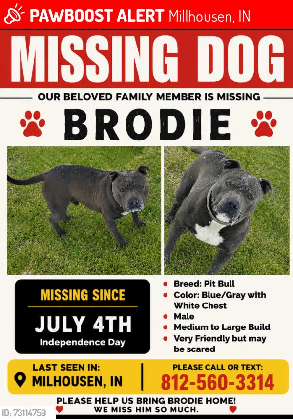 Lost Male Dog last seen Milhousen in, Millhousen, IN 47240
