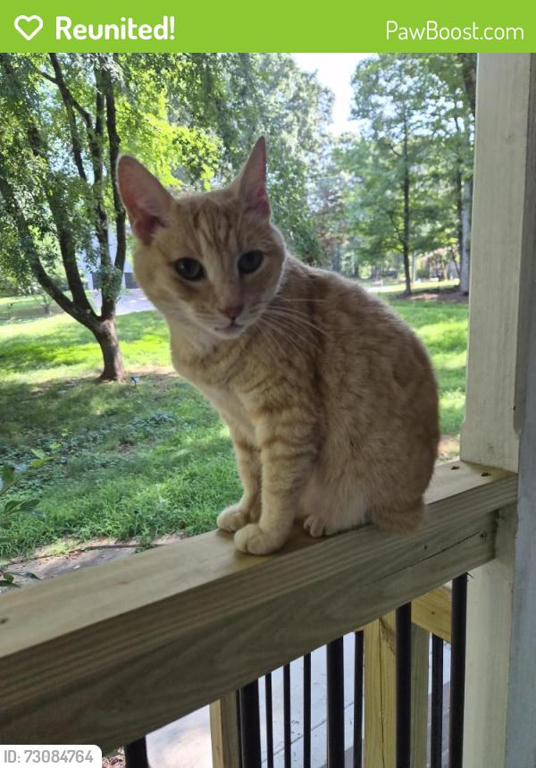 Reunited Unknown Cat last seen Cul-de-sac, Cherokee County, GA 30142