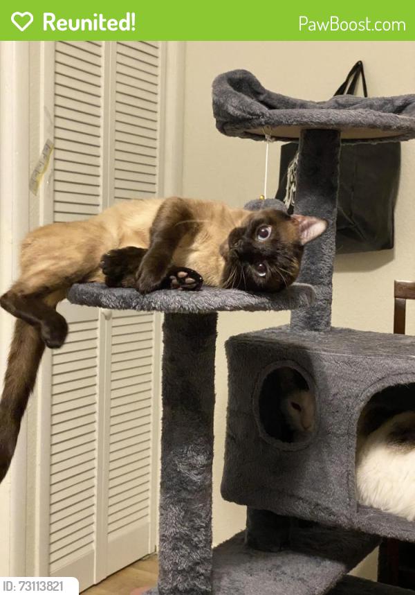 Reunited Male Cat last seen W Craig / Zarzamora, San Antonio, TX 78201