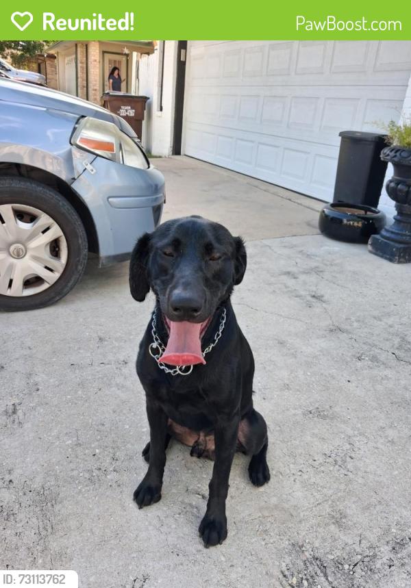 Reunited Male Dog last seen Gulf shore Bob and Farmington, San Antonio, TX 78244
