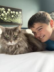 Lost Male Cat last seen Camino Carrillo and Calle Timiteo, Carlsbad, CA 92009