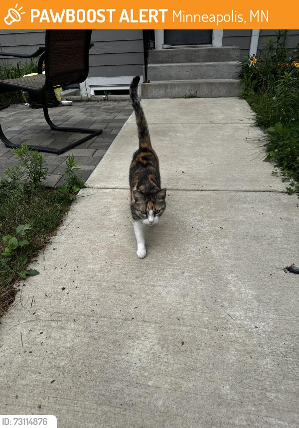 Found/Stray Unknown Cat last seen Minnehaha Park, Minneapolis, MN 55406