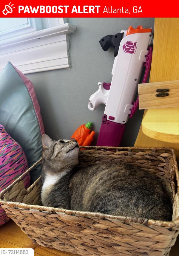 Lost Female Cat last seen Happy Hallow rs, Atlanta, GA 30350