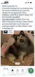 Reunited Male Dog last seen Southbury dog park, Southbury, CT 06488