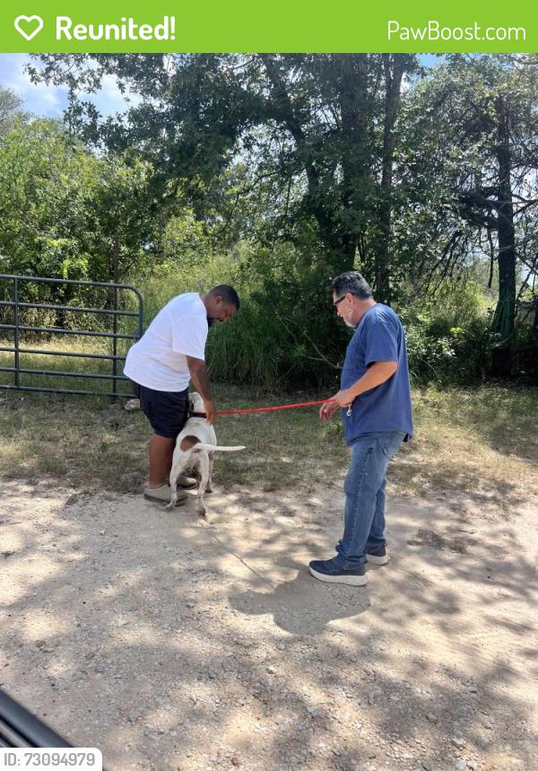 Reunited Male Dog last seen Maskey rd, Hickman Rd, TX 78069
