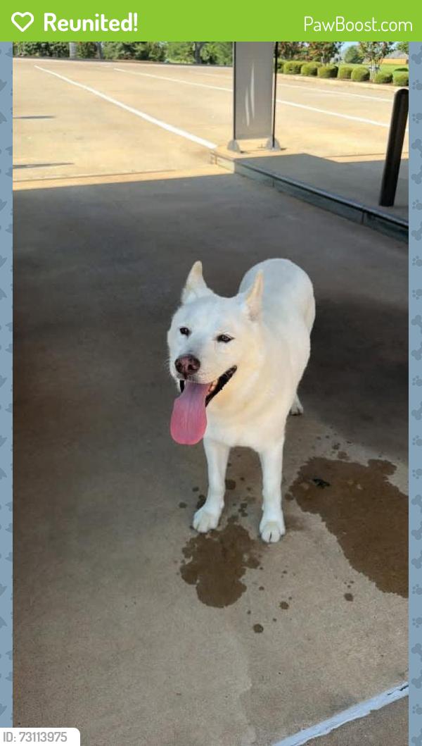 Reunited Male Dog last seen 33rd and Bryant, Edmond, OK 73013