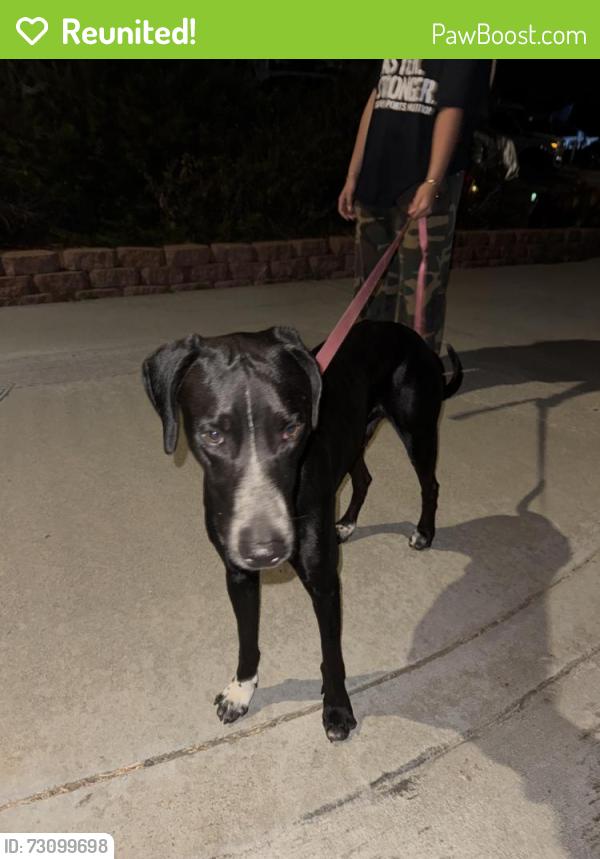 Reunited Unknown Dog last seen Douglas and North River, Oceanside, CA 92057