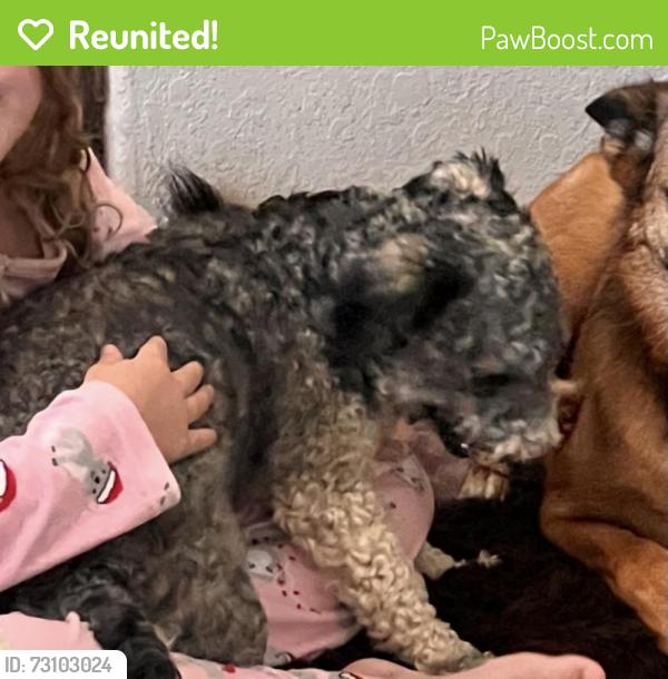 Reunited Female Dog last seen S Loop 336 and Gladsdale, Conroe, TX 77304
