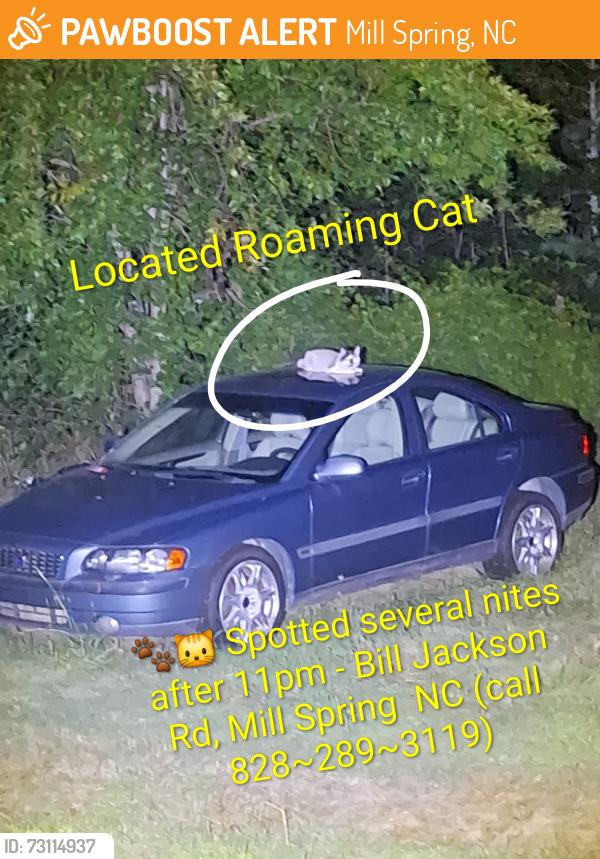 Found/Stray Unknown Cat last seen Bill Jackson Rd, Mill Spring NC, Mill Spring, NC 28756