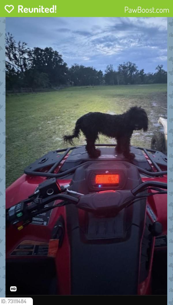 Reunited Female Dog last seen Claire lane, Jacksonville, FL 32223