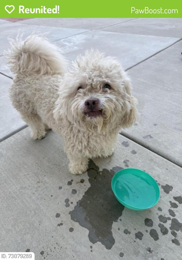 Reunited Male Dog last seen Frank Eaton Memorial Park, Perris, CA 92571